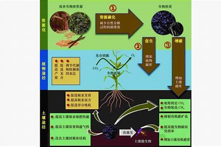 养殖中说的碳肥是什么