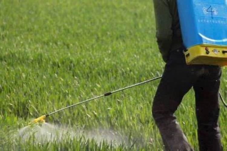 区分氮肥、磷肥、钾肥的方法有 ①看外观.氮肥、钾肥都是白色晶体;磷肥...