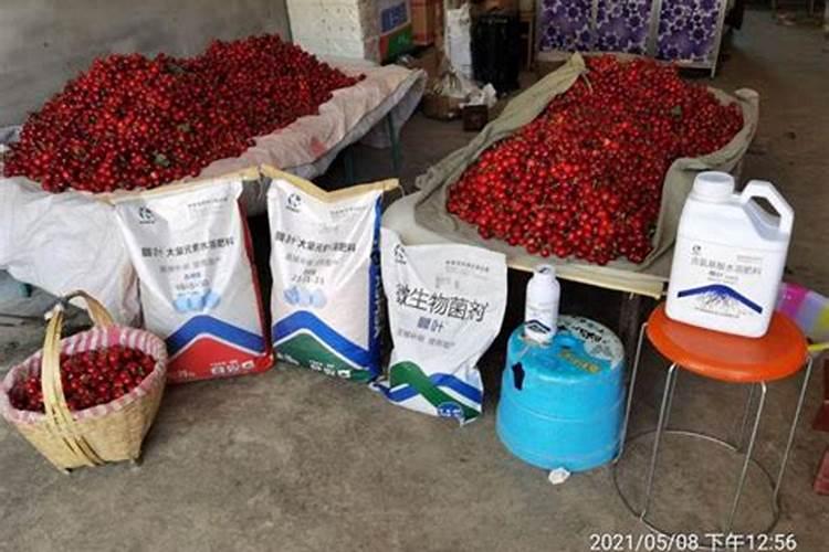 种菜施肥用什么水溶肥料好？