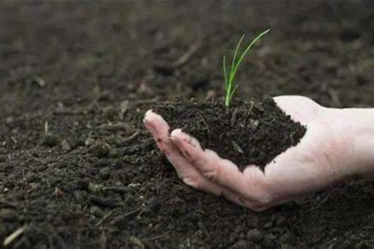 怎么让泥巴土壤变疏松