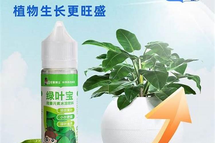 苞米叶面肥喷几遍最好？