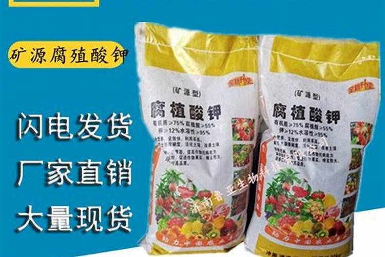 果树怎么施水溶肥？