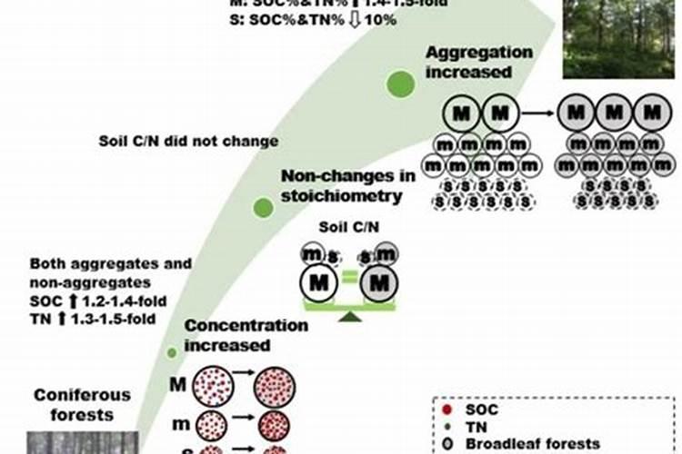花生药肥什么时候撒好