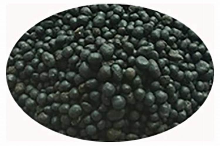 小麦施肥最佳时间