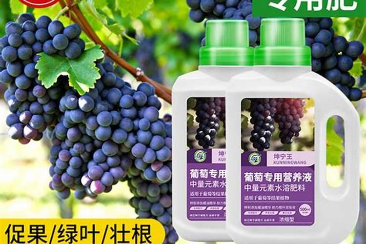 种西瓜用什么复合肥好