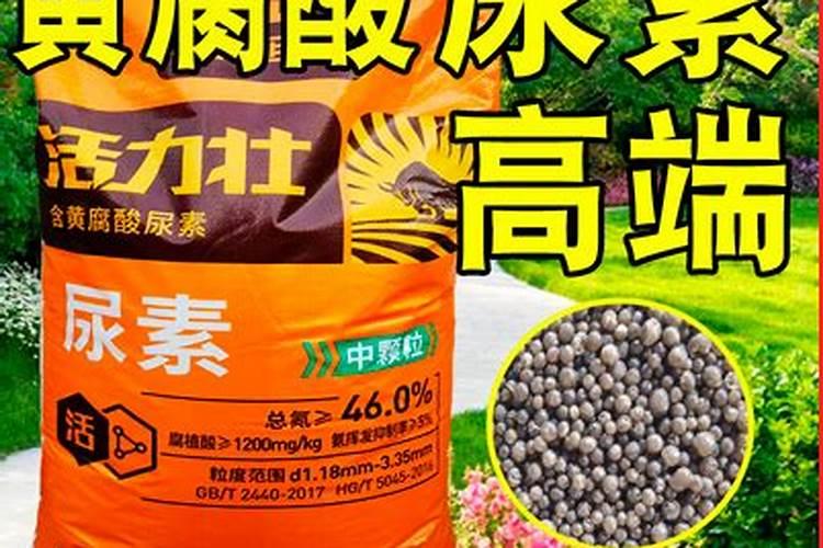 西瓜什么时候施肥 西瓜哪个时候施肥