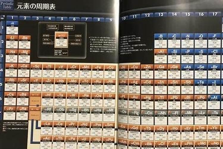 人体五大衡量元素