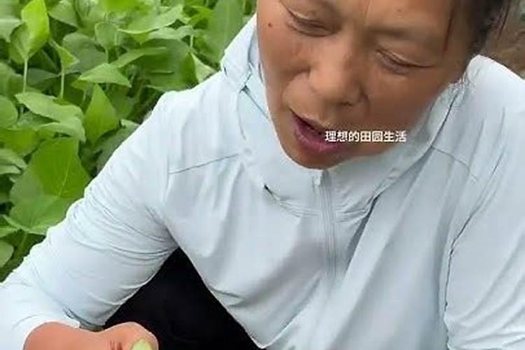 ...经济作物是什么,播种时期是什么啥时候 年产值是多少