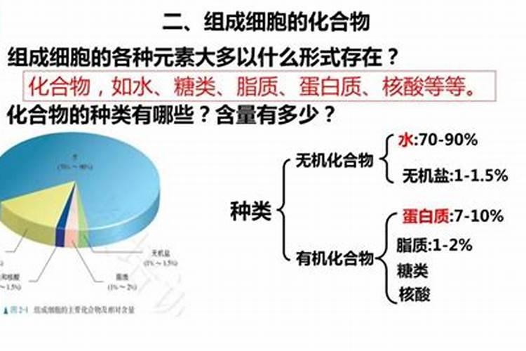 肥老头产品介绍