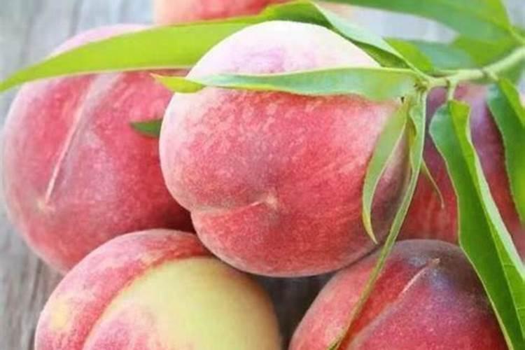 什么叶面肥能让水果提前成熟？