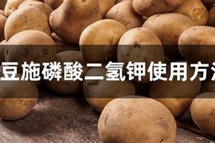 西红柿开花期如何施肥