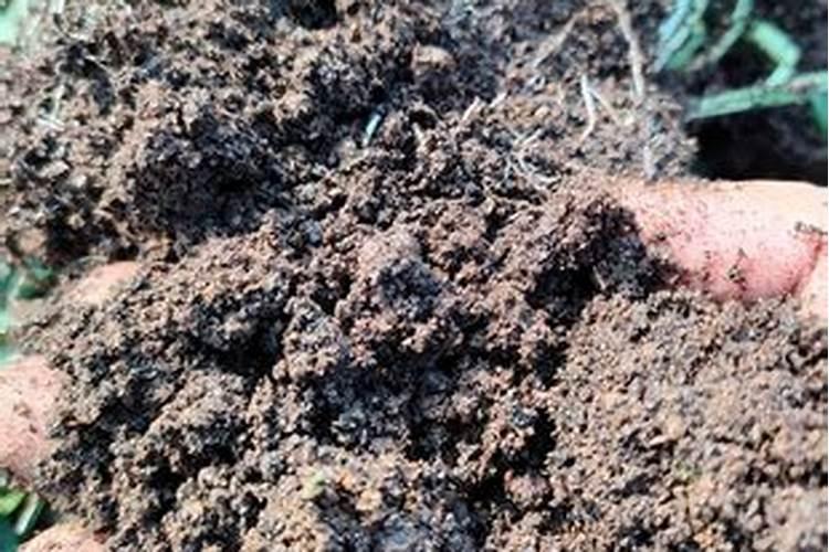 如何辨别磷酸二氢钾的真假