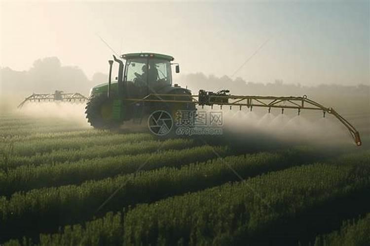 叶面肥什么时候打合适