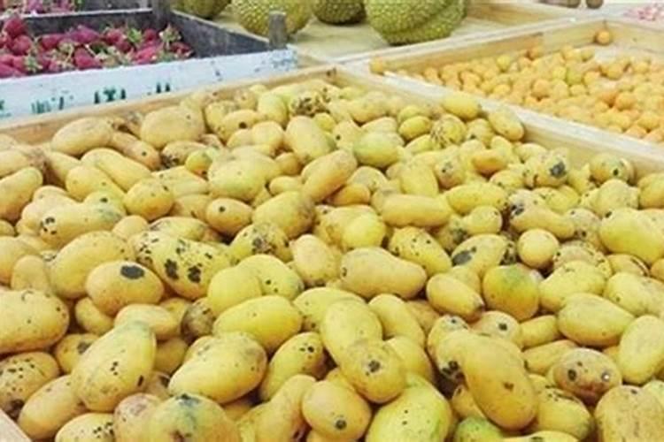 烂水果可以做肥料吗