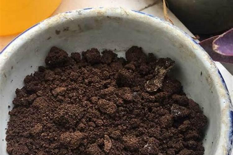 没有草木灰用什么代替做碱水？