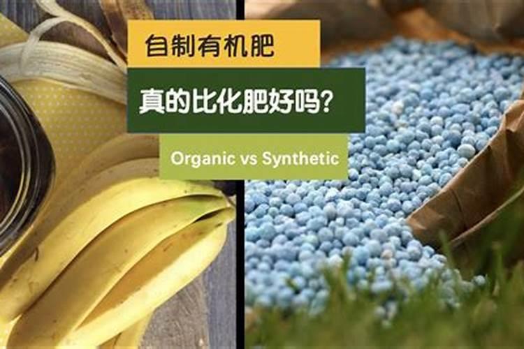 农家肥和化肥哪个效果好