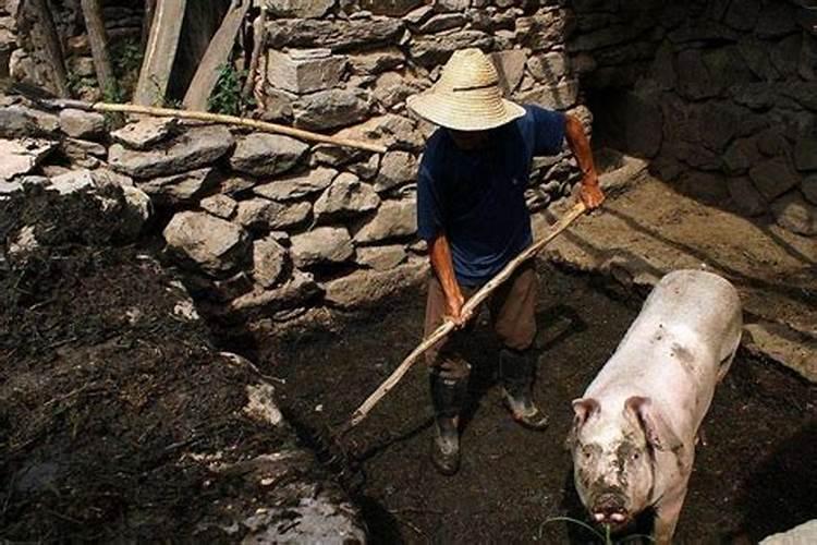 农家肥与化肥的优缺点