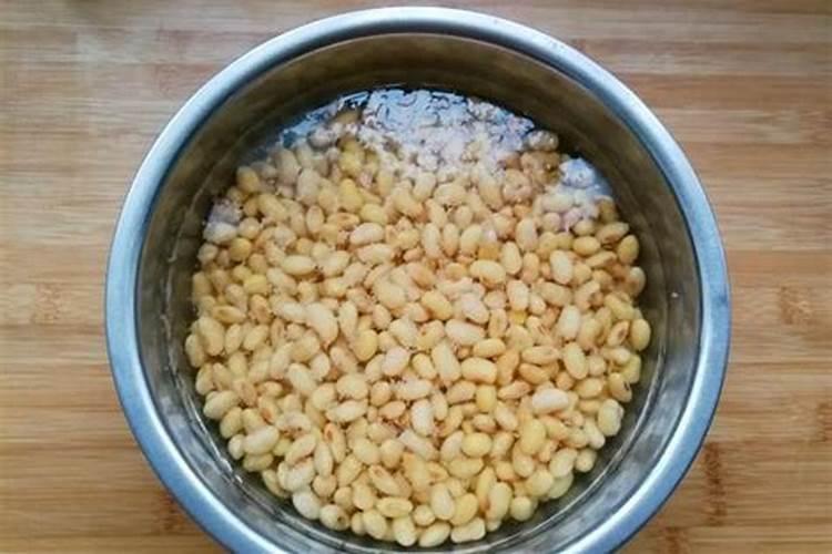 黄豆泡水发酵做养花营养液可以吗？？请教养花高手