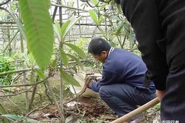 西瓜追肥用什么肥料好