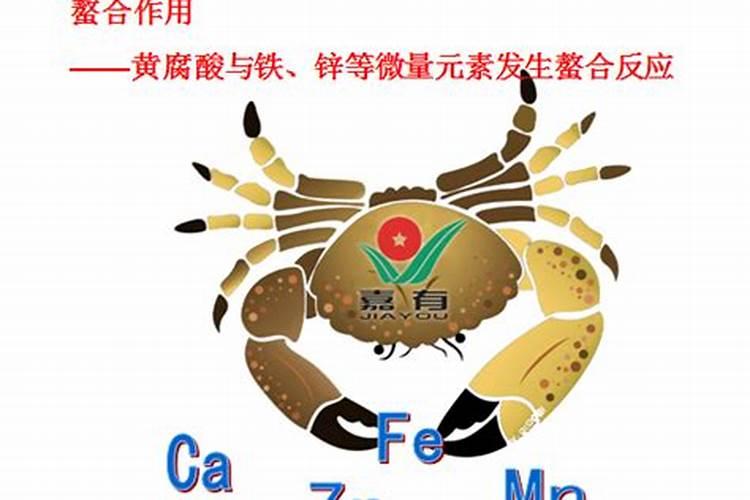 在农村做什么能挣到钱2025