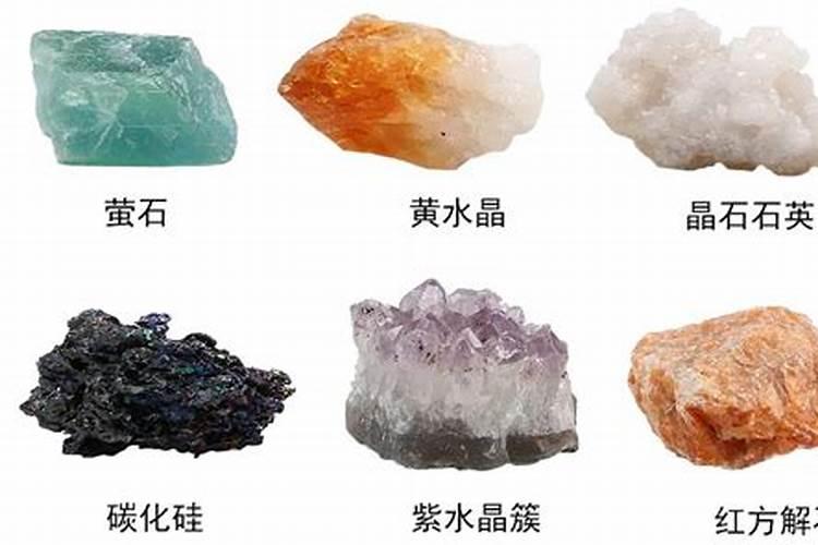 矿质元素、大量元素、微量元素分别是指什么？