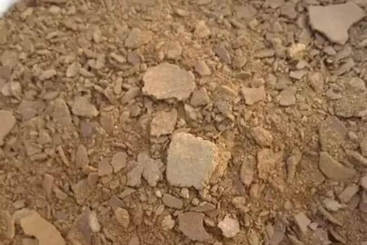 佛手掌怎么爆盆,5点轻松使佛手掌爆盆