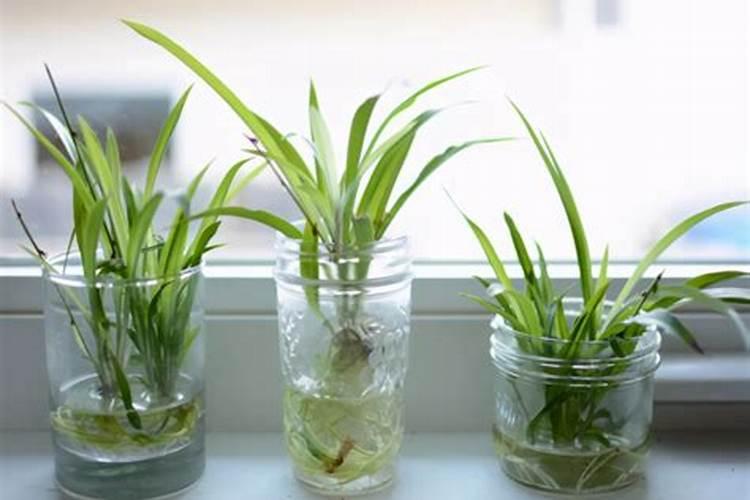 果树怎么施水溶肥？