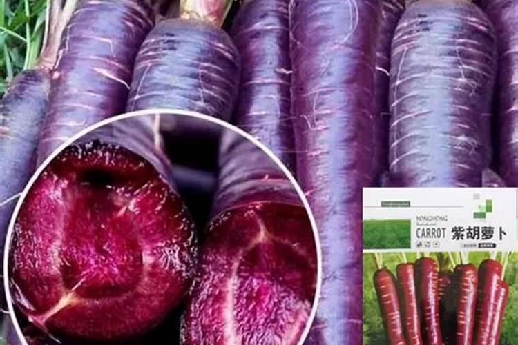 小桃树苗用什么肥长得快 如何合理施肥