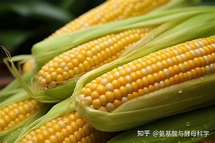 开春果树施什么肥料好