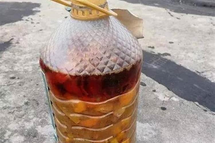 如何用鱼肠来做花肥