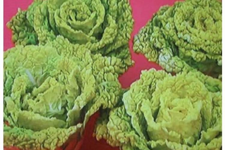 自制氮肥有哪些