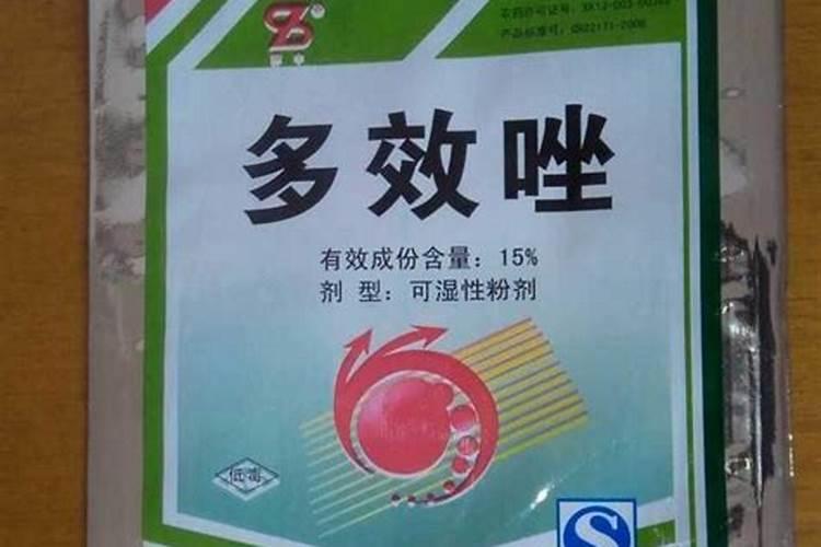 油菜苗床什么时候打多效唑？