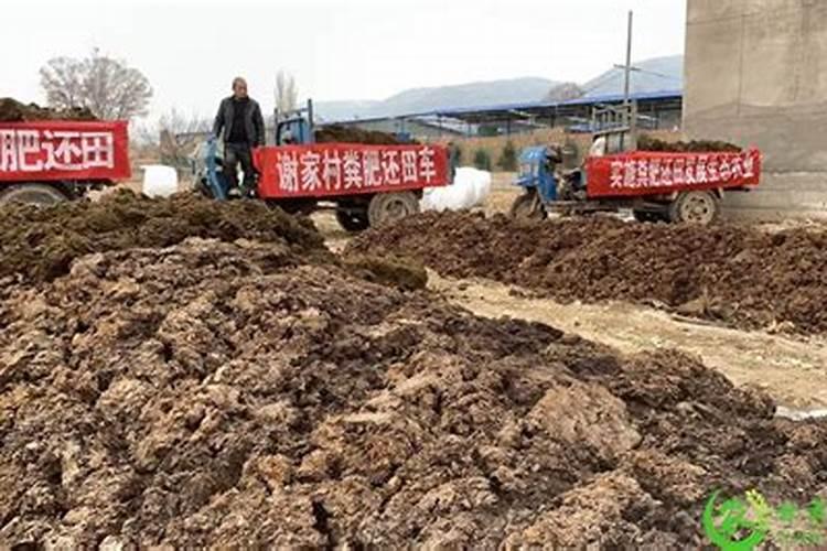 粪肥和尿素哪种是有机肥料？