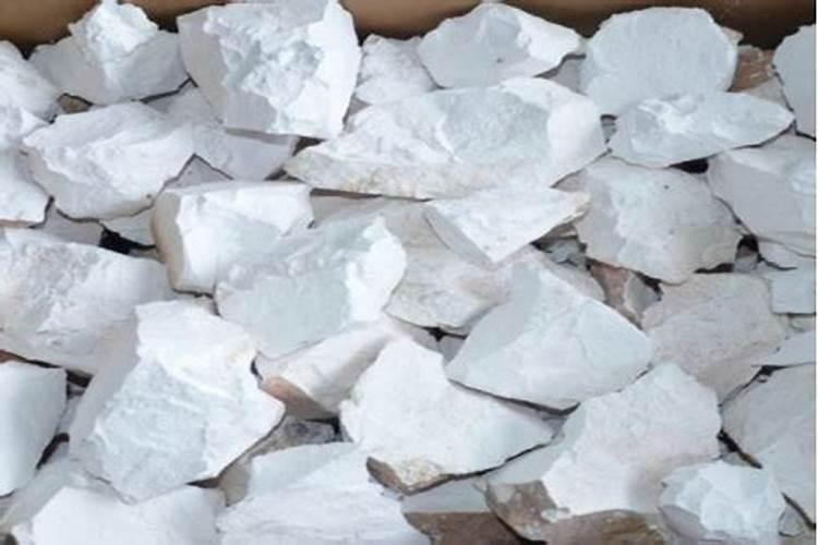 种过树土种辣椒好吗