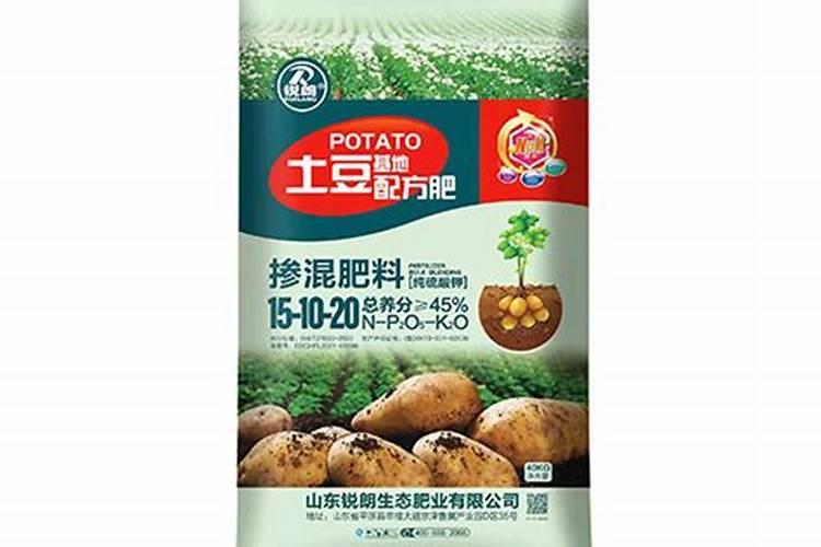 我家的米兰突然叶子有些枯萎,叶子掉了不少,怎么回事