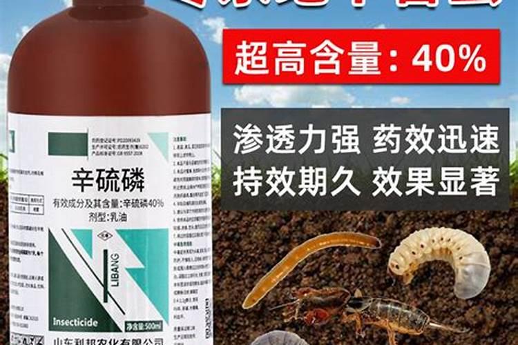 在大蒜的返青期,怎样浇水才能不影响产量？