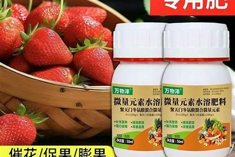 草莓喷什么叶面肥结果多？草莓座果根茎块膨大剂？