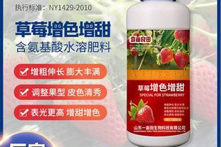 怎么让草莓的果实膨大？想要草莓高产应该怎么做？