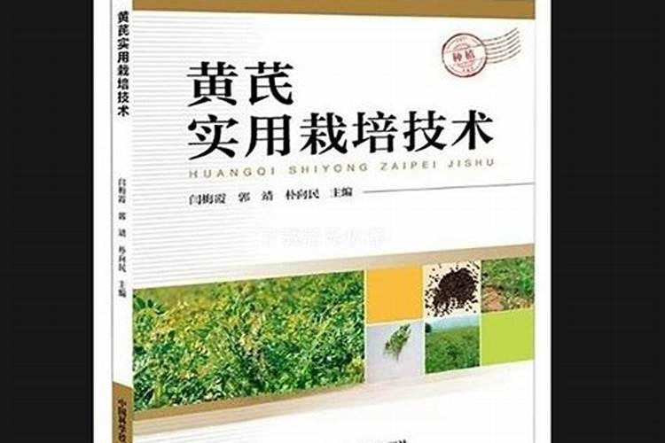 种黄芪肥料咋施