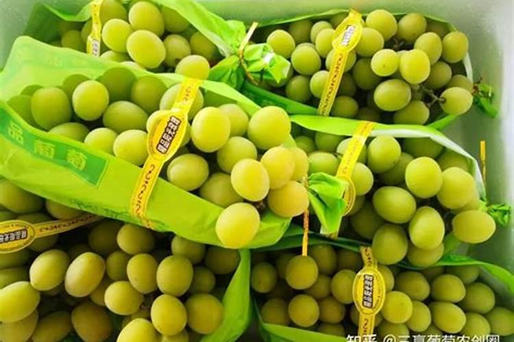 阳光玫瑰葡萄硬核中后期冲施磷酸二氢钾好吗