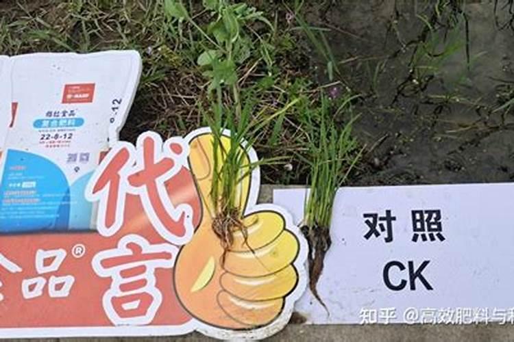 控释肥一次给多少