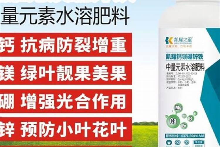 高温天气草莓苗冲什么肥料好呢