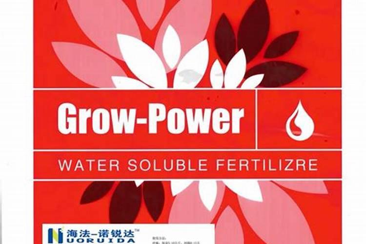 豌豆什么时候浇水好 给豌豆浇水的注意事项