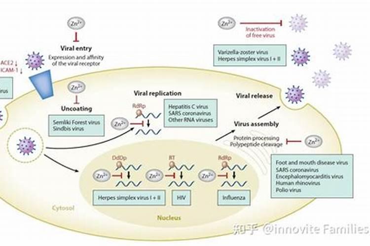花叶病毒病用什么农药