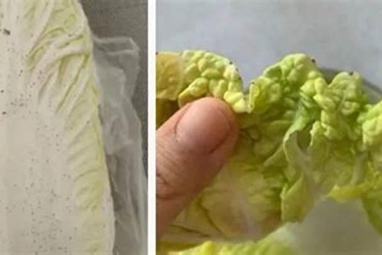 草木灰施肥有什么作用