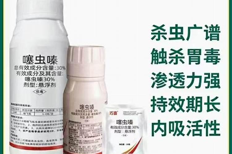 大葱蓟马打什么药最好