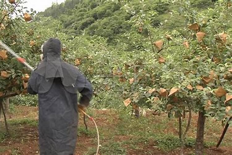 叶霸大量元素水溶肥料功效