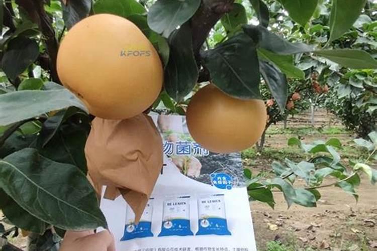 塑料烧成灰可以做肥料吗