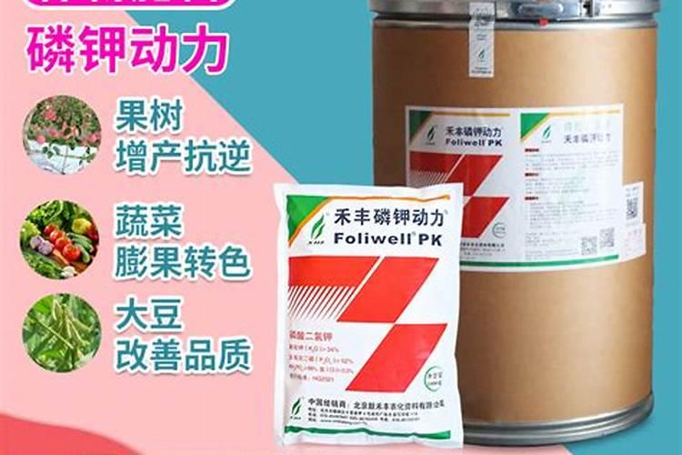 泡沫箱燃烧后的灰烬是否含有有毒物质？