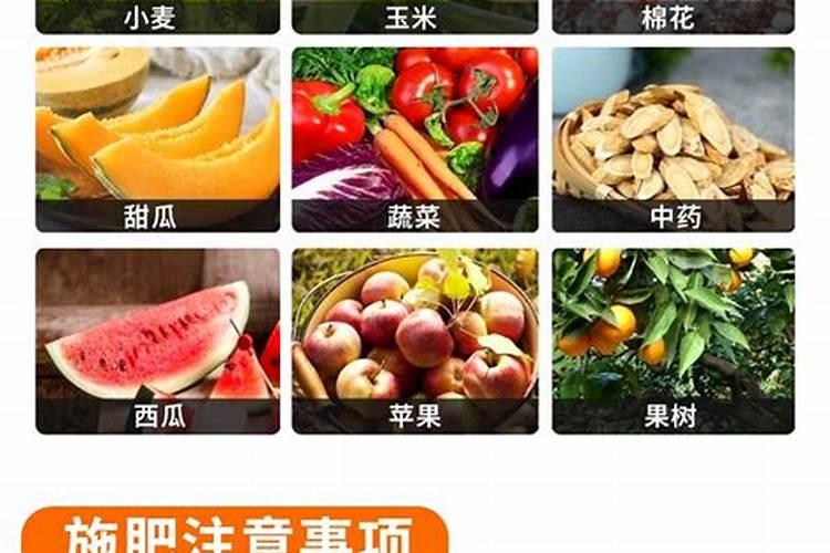 种红薯是不是很赚钱